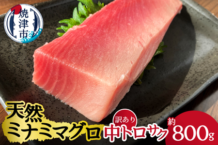 a24-062　天然ミナミマグロ 訳あり 中トロ(サク) 約800ｇ入り 訳あり OR FN-SupportProject OR 増量 OR 年末企画 訳あり