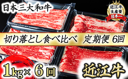 【定期便】全6回 A5 近江牛 切り落とし 食べ比べ 1kg (250g×4p) 6回 【FO27W】 近江牛 定期便 切り落とし