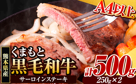 くまもと黒毛和牛 サーロインステーキ 500g ( 250g x 2枚 )《30日以内に出荷予定(土日祝除く)》 