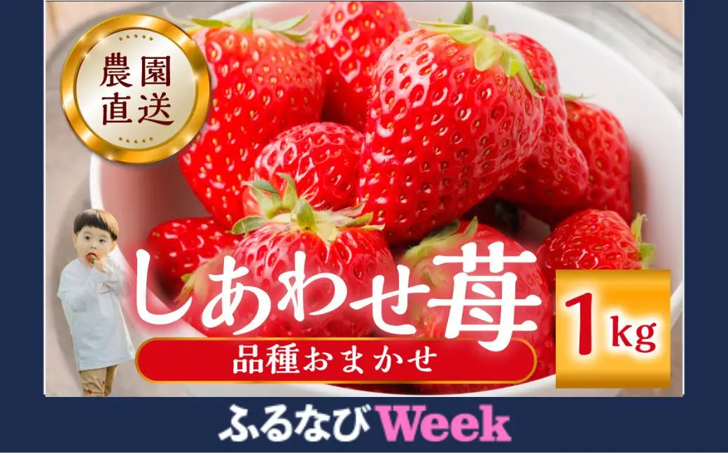 【ふるなびWEEK対象】自宅用 品種おまかせ いちご 1kg (250g × 4p) いちご [mt524] family農園watanabe