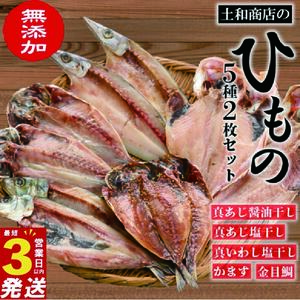 干物 5種 2枚 計10枚 セット 干物