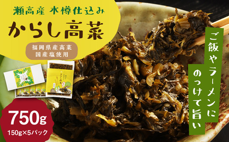 A261 瀬高産 からし高菜セット