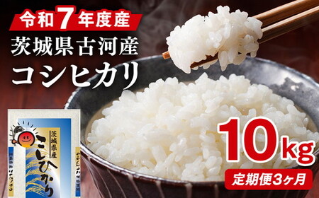 【定期便 3か月】令和7年産 古河市産コシヒカリ 10kg（5kg×2袋）｜米 _DP43