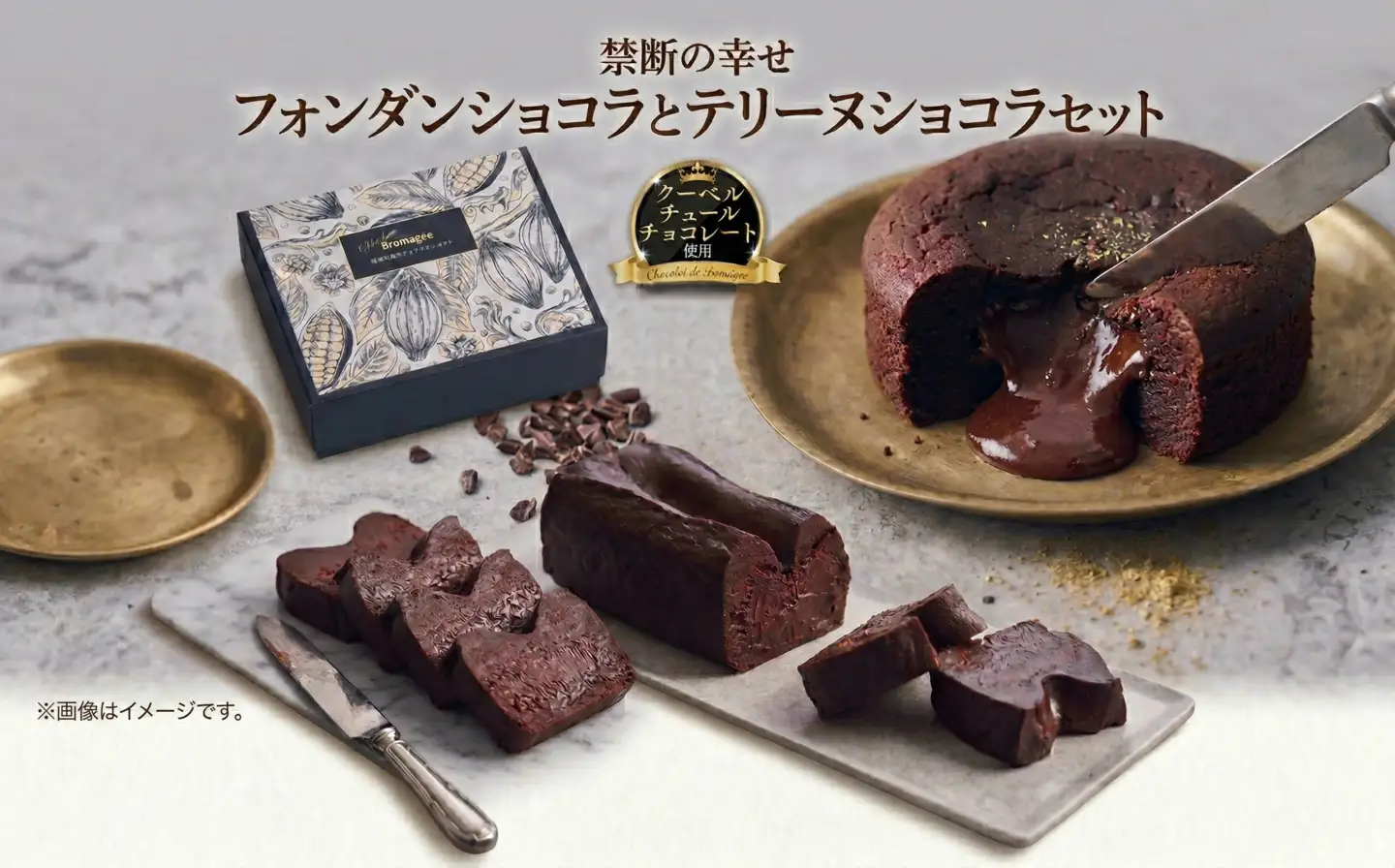 【 禁断の幸せ 】 フォンダンショコラ & テリーヌショコラ セット