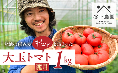 先行予約【2026年7月上旬頃から順次発送】≪有機JAS認証≫ 大玉トマト 約 1kg（6～8玉）（サイズ混合）【61-16】