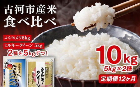 【定期便 12か月】令和7年産 古河市のお米食べ比べ コシヒカリ・ミルキークイーン 5kg×2種類 ｜米_DP54