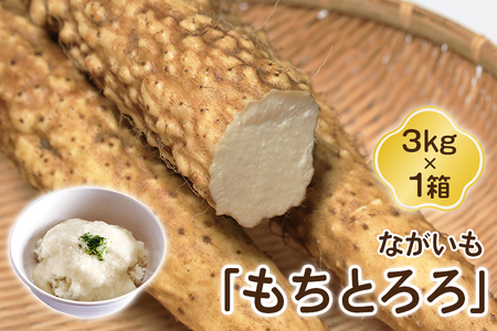 ながいも「もちとろろ」3kg×1箱｜長芋 [0631]