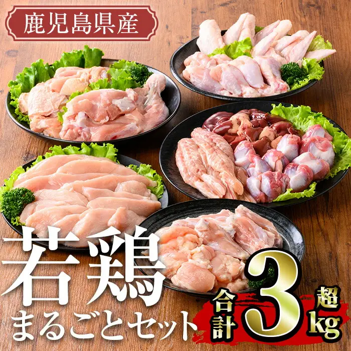 鹿児島県産 若鶏 まるごと セット(計3.05kg)【TRINITY】A467-v02