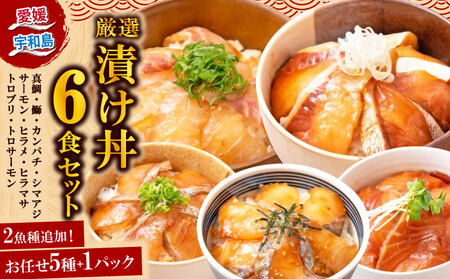 海鮮丼 サーモン カンパチ 等 6食 南予ビージョイ 海鮮丼 D010-150005
