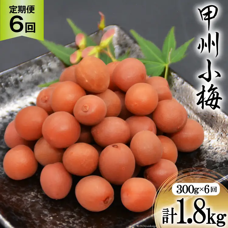 【6回 定期便 毎月】【カリカリ】甲州小梅 300g  梅干し 国産 おやつ[山梨農産食品 山梨県 韮崎市 20743718]
