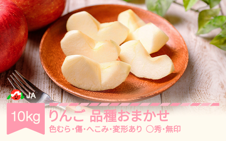 【先行予約】りんご 品種おまかせ 10kg 色むら 傷あり へこみ 変形 ◯秀 無印 2026年産 ja-ri3kx10