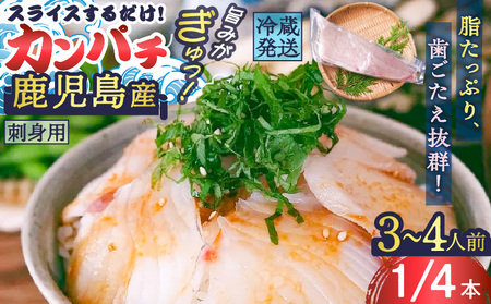 鹿児島産 スライスするだけ！カンパチ刺身用 1/4本 3～4人前 K100-006 魚