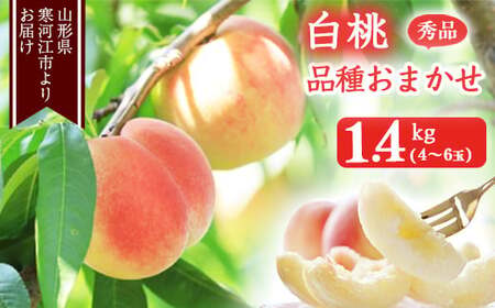《先行予約》令和8年産 山形の白桃 秀品 1.4kg（4 - 6玉） 品種おまかせ 2026年産 山形県産【2026年8月上旬頃から9月下旬頃発送予定】※ 配送不可 沖縄・離島　011-B-MM069