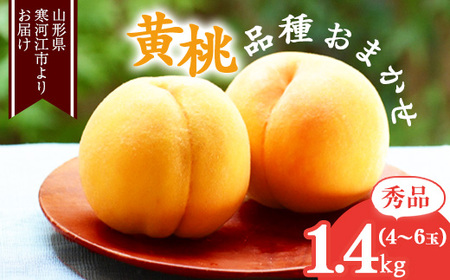 《先行予約》令和8年産 山形の黄桃 秀品 1.4kg（4 - 6玉） 品種おまかせ 2026年産 山形県産 【2026年8月中旬頃から9月下旬頃発送予定】※ 配送不可 沖縄・離島　011-B-MM071