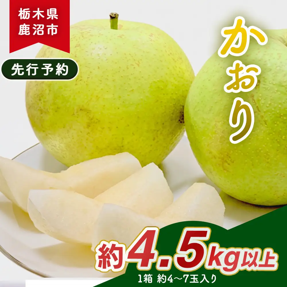 【先行予約】梨(かおり) 4玉～7玉入り×1箱 (4.5kg以上) ※2026年9月上旬～9月下旬頃に順次発送予定