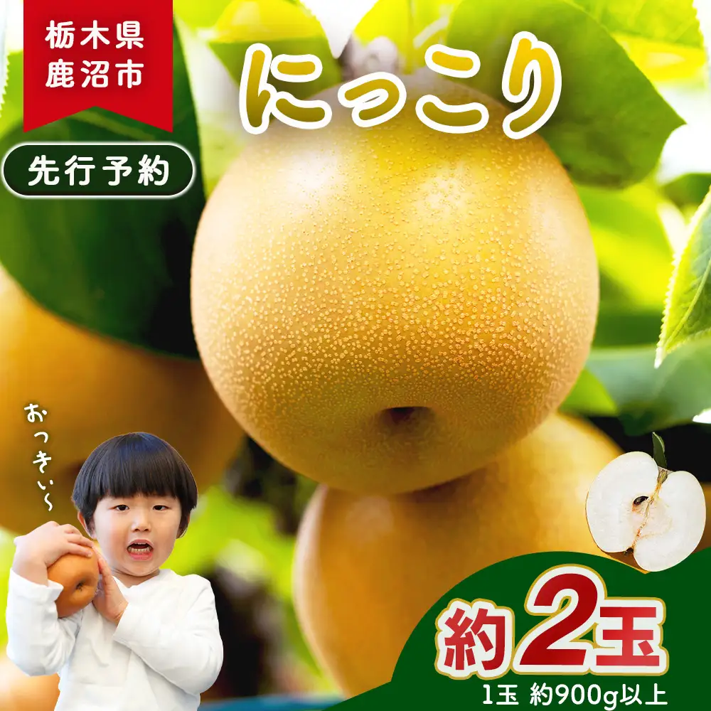 【先行予約】梨(にっこり) 2玉入り×1箱 (内容量1玉900g以上) ※2026年10月上旬～11月下旬頃に順次発送予定