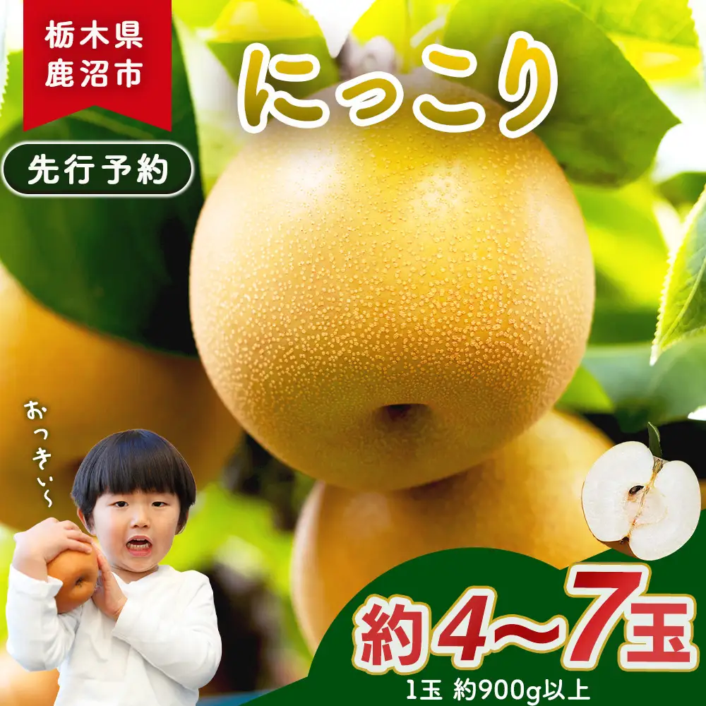 【先行予約】梨(にっこり) 4玉～7玉入り×1箱 (4.5kg以上) ※2026年10月上旬～11月下旬頃に順次発送予定