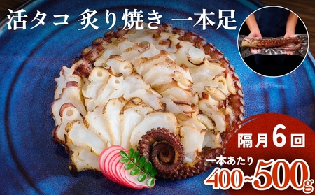 活タコ 炙り焼き 一本足 定期便 隔月 6回 タコ たこ 直火焼き おかず おつまみ 蛸 刺身