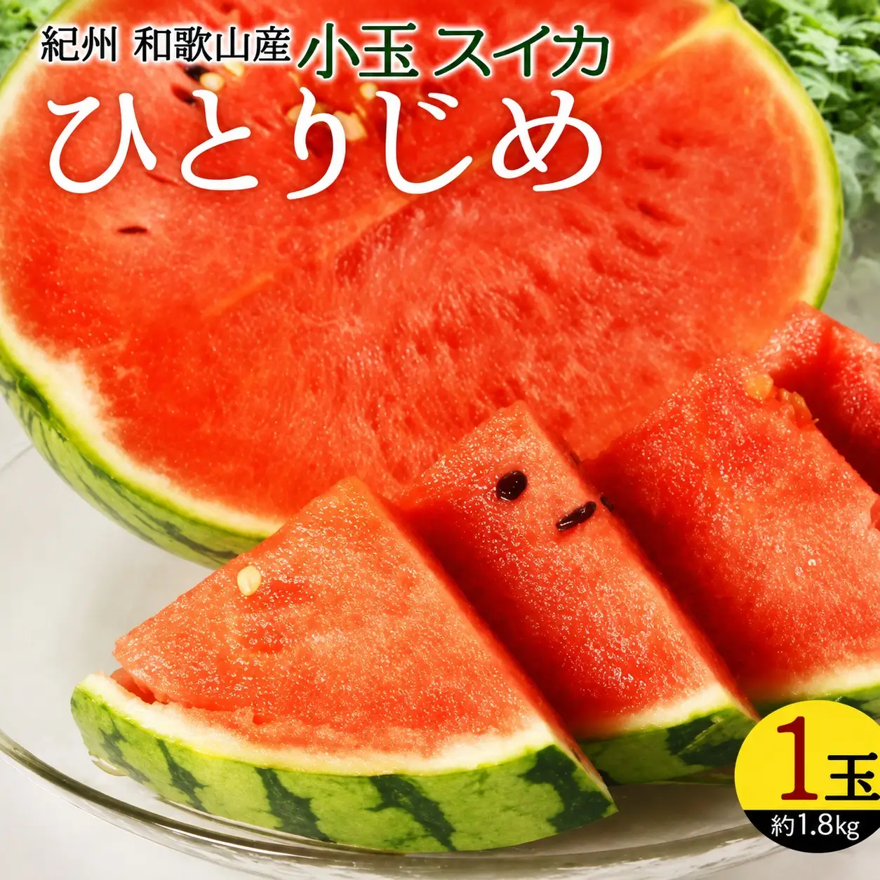 紀州和歌山産小玉スイカ「ひとりじめ」１玉【予約】※2026年6月上旬頃～7月上旬頃に順次発送予定(お届け日指定不可) スイカ すいか 果物【uot778A】