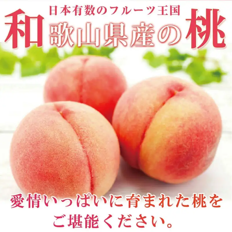 もも 和歌山の 桃 15玉【uot780A】