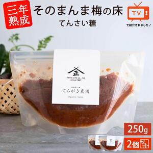 そのまんま梅の床・てんさい糖 250g×2 trgk001A【trgk001A】