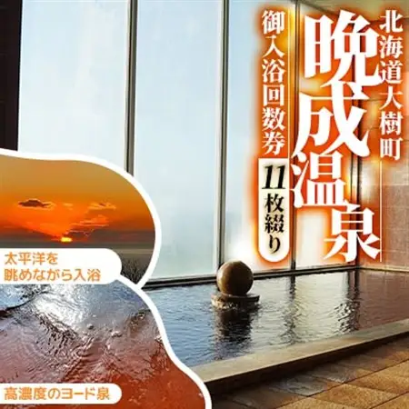 『晩成温泉』御入浴回数券　11枚綴り　1冊_旅行券・チケット  温泉利用券 _【1497431】