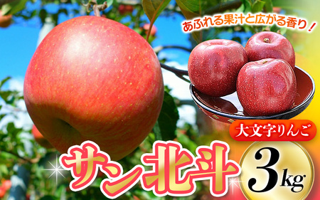 【10月下旬頃より順次発送】大文字りんご園 サン北斗 約3kg (7～10玉) / りんご りんご【dma513-sh-3D】