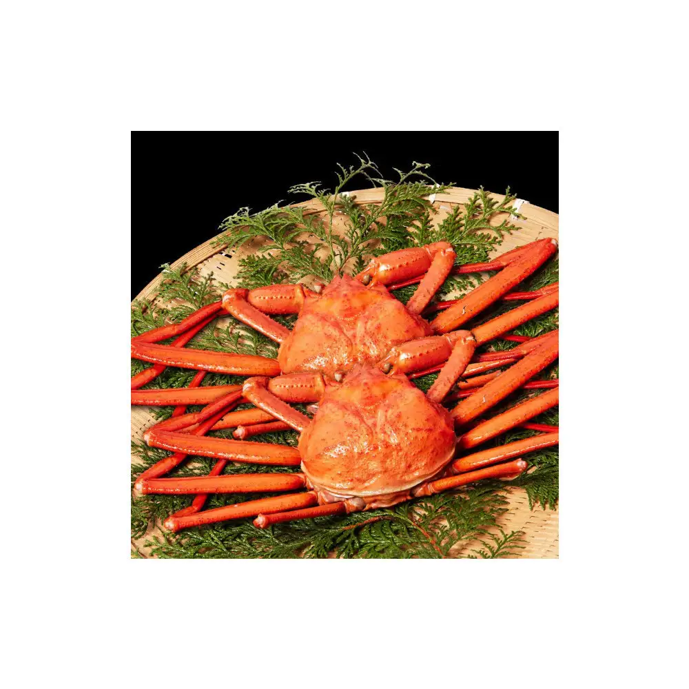  訳あり 蟹 紅ずわい蟹 1kg（500g前後×2枚） 境港産 ボイル 冷蔵