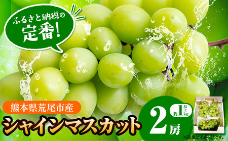 【先行予約】シャインマスカット  約1kg(2房）フレッシュフーズ 《8月上旬-9月上旬頃出荷》熊本県産(荒尾市産) 柑橘 フルーツ フレッシュフーズ シャインマスカット 果物 美味しいシャインマスカット 旬のシャインマスカット ジューシーシャインマスカット フルーツシャインマスカット