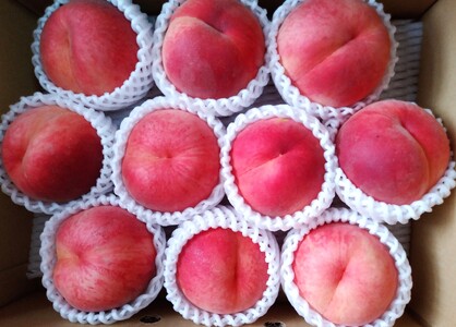 山形の旬の桃（品種おまかせ）３ｋｇ　0030-2610