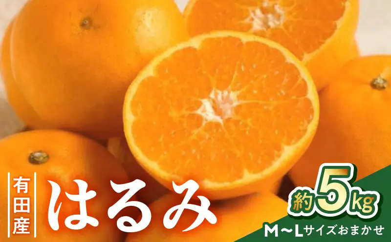 ZD7033_【2027年先行予約】【厳選・濃厚】紀州有田産の はるみ 約5kg (M～Lサイズおまかせ)