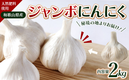 秘境の地からお届けする あゆみファームのご家庭用ジャンボにんにく 2kg【2026年7月下旬から順次発送】/ にんにく ニンニク ジャンボにんにく 予約受付 ガーリック 和歌山【aym010】