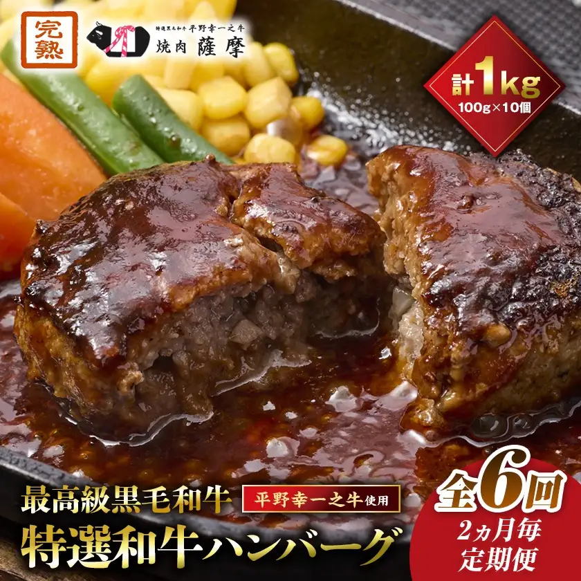 【2ヵ月毎定期便】特選和牛(焼肉薩摩の完熟平野幸一之牛)ハンバーグ10個全6回_肉 ハンバーグ 牛肉   定期便 定期便  _【配送不可地域：離島】【4050394】