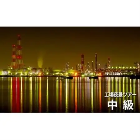 【中級1.5時間コース】タクシーで回る夜景撮影＆観光スポットのご案内　4名までご利用可能_旅行券・チケット   _【1494099】