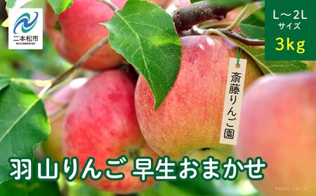 りんご《2026年8月下旬以降順次発送》羽山のりんご 中生おまかせL～2Lサイズ3kg【斎藤りんご園】