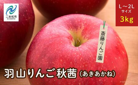りんご《2026年10月下旬以降順次発送》羽山のりんご 秋茜L～2Lサイズ3kg りんご リンゴ 果物 フルーツ【斎藤りんご園】