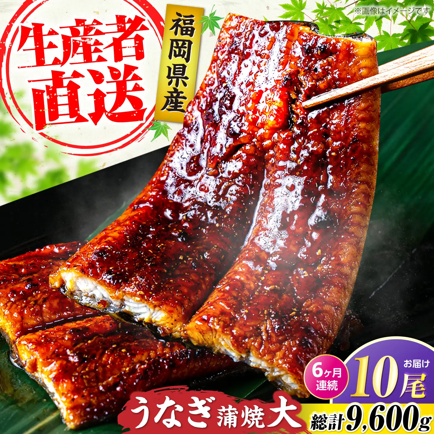 【全6回定期便】福岡県産 うなぎ 蒲焼 大 10尾 計1,600g（1尾あたり 160g以上）[VAD028] 国産 鰻 ウナギ 蒲焼き
