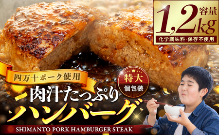 四万十ポーク入り  ハンバーグ 200g x 6個 1.2kg はんばーぐ 