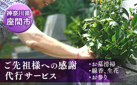 ご先祖様への感謝 代行サービス（生花・お参りつき）（お墓清掃サービス）｜地域 地元 クリーニング お墓参り 草取り 草むしり 写真撮影 お花 お供え 線香 神奈川県 座間市※着日指定不可※離島への配送不可