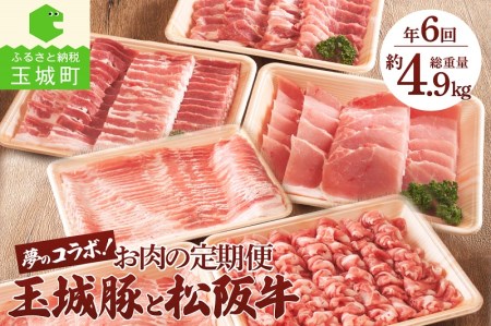 お肉の定期便 玉城豚と松阪肉の夢のコラボ！[定期便 6回 松阪牛 玉城豚]