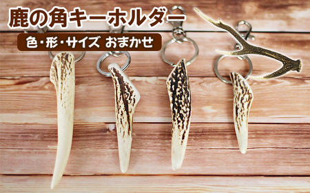 鹿の角 キーホルダー 1個 【竜鹿】／ 鹿角 鹿 しか シカ グッズ 本物