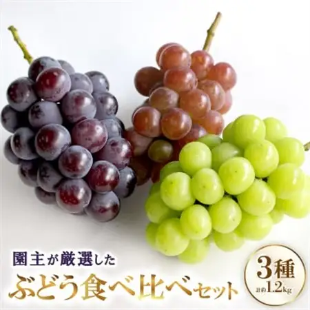 厳選 3種類のぶどう食べ比べセット【配送不可地域：離島・北海道・沖縄県】【1482869】