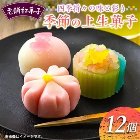 季節の上生菓子12個セット【配送不可地域：離島】【1500932】