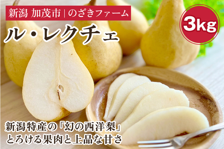 【2026年先行予約】新潟特産 幻の洋梨ル・レクチェ 3kg 《11月下旬から順次発送》 果物 フルーツ ギフト 加茂市産ル・レクチェ ルレクチェ 梨 西洋梨 加茂市 のざきファーム