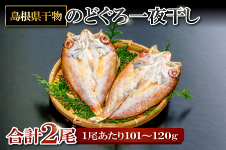 旨みを引き出した のどぐろ一夜干し 2尾【のどぐろ一夜干し 1尾あたり101～120g のどぐろ干物 のどぐろ ノドグロ のど黒 あかむつ アカムツ 干物 個包装 小分け 真空パック 冷凍 父の日 母の日】
