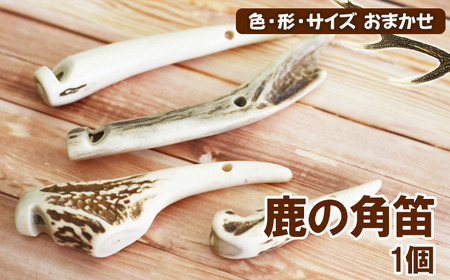 鹿の角 角笛 1個 【竜鹿】／ 鹿角 鹿 しか シカ グッズ 本物 加工 加工