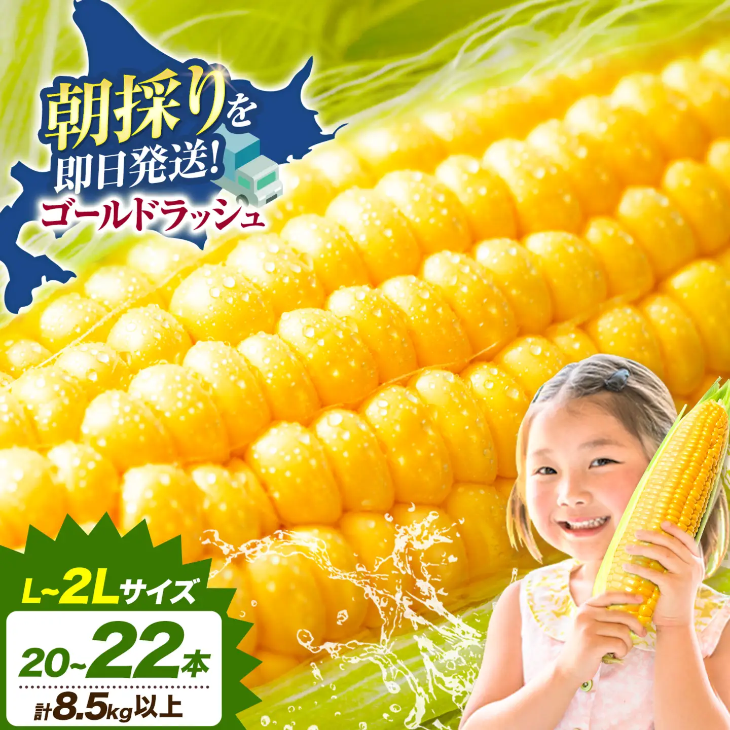 とうもろこし「 ゴールドラッシュ 」 8.5kg 以上 　名寄　とうもろこし