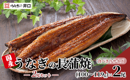  食べきりサイズ ITI優秀味覚賞受賞】長蒲焼2尾セット うなぎ 鰻 ウナギ 静岡県 浜松市 【配送不可：離島】 
