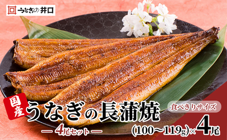 食べきりサイズ ITI優秀味覚賞受賞】長蒲焼4尾セット うなぎ 鰻 ウナギ 静岡県 浜松市 【配送不可：離島】