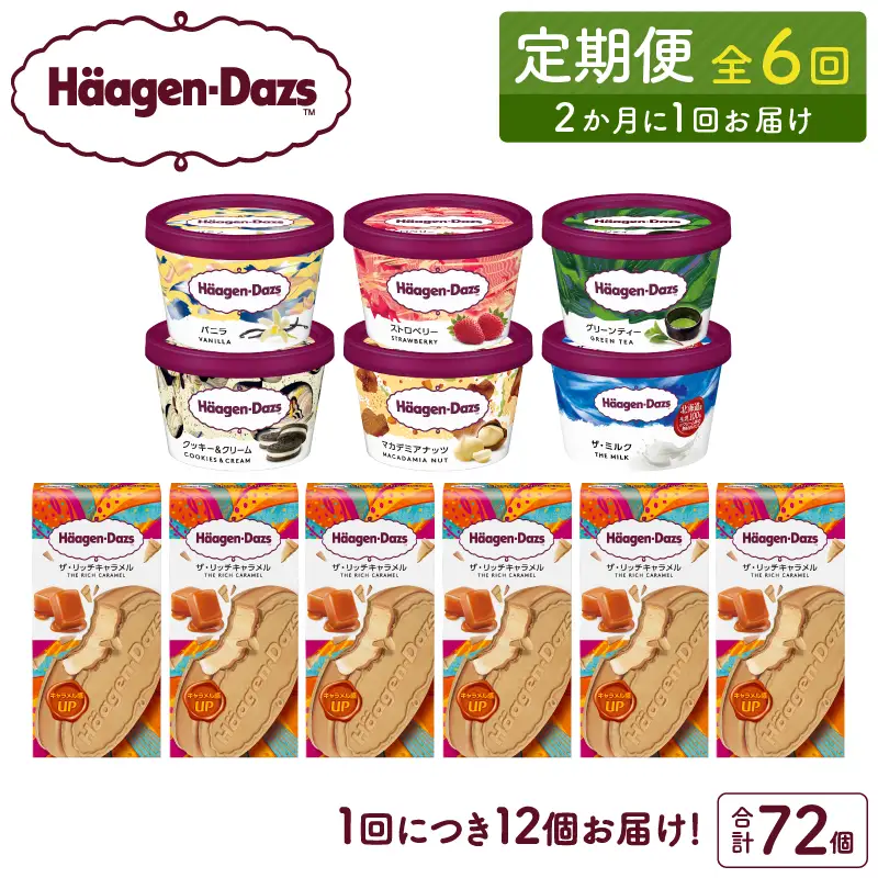 ＜全6回定期便・隔月＞ハーゲンダッツ『ミニカップ＆クリスピーサンドセット(合計72個)』アイスクリーム アイス スイーツ デザート ミルクアイス アイススイーツ アイスデザート_H0016-141
